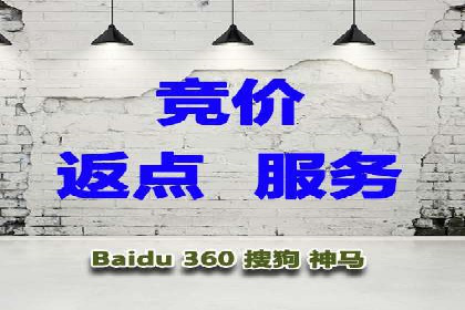 谷歌SEM广告策略：某电商平台的成功逆袭案例